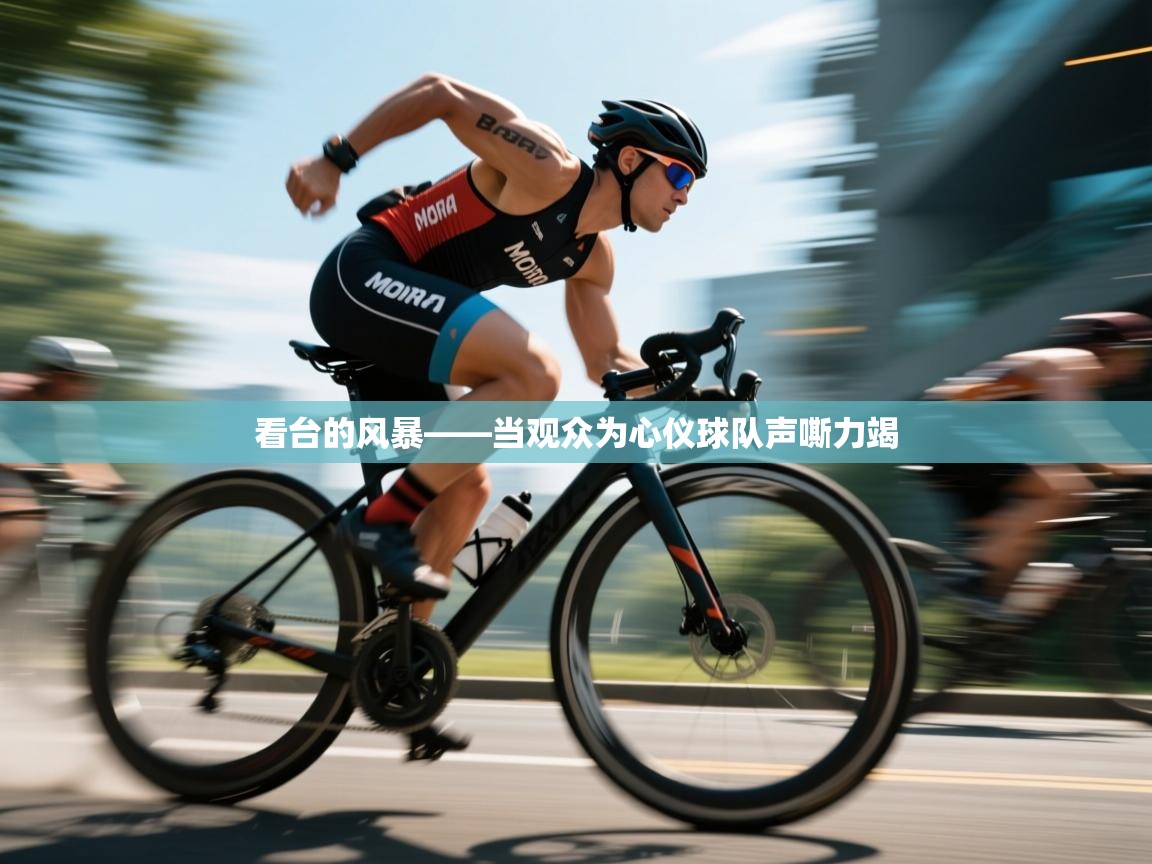 看台的风暴——当观众为心仪球队声嘶力竭  第2张